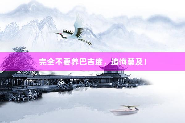 完全不要养巴吉度，追悔莫及！